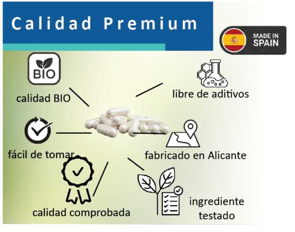 CREATINA CREAPURE - Imagen 3