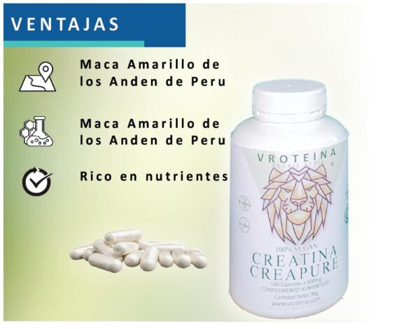 CREATINA CREAPURE - Imagen 5
