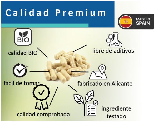 MACA ANDINA - Imagen 3
