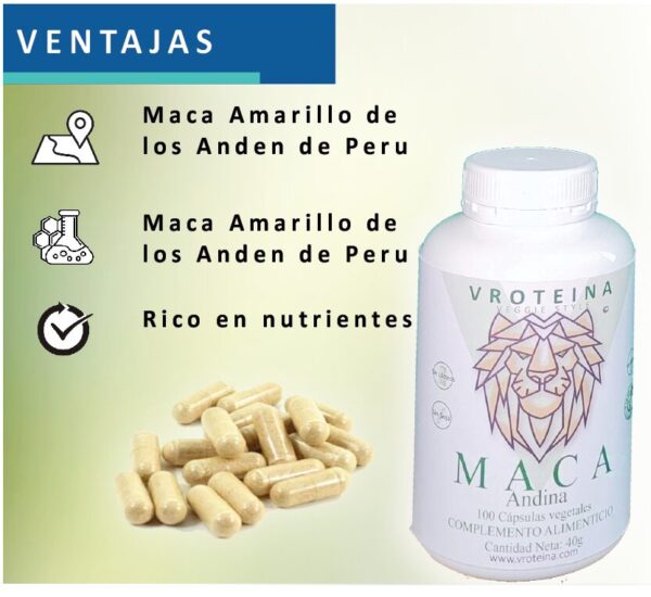 MACA ANDINA - Imagen 5