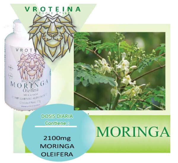 Moringa Oleifera cápsulas - Imagen 2