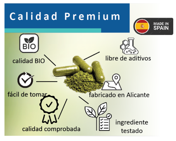 Moringa Oleifera cápsulas - Imagen 3