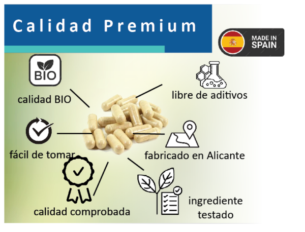 Recup&Relax - Imagen 3