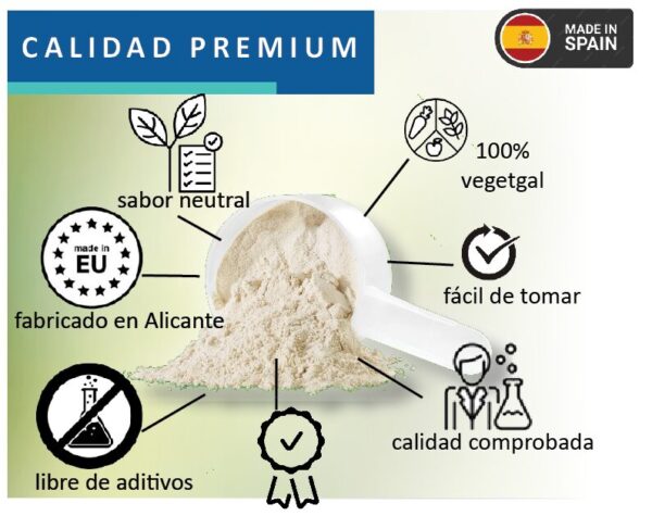 PROTEÍNA+MORINGA 100%VEGAN - Imagen 5