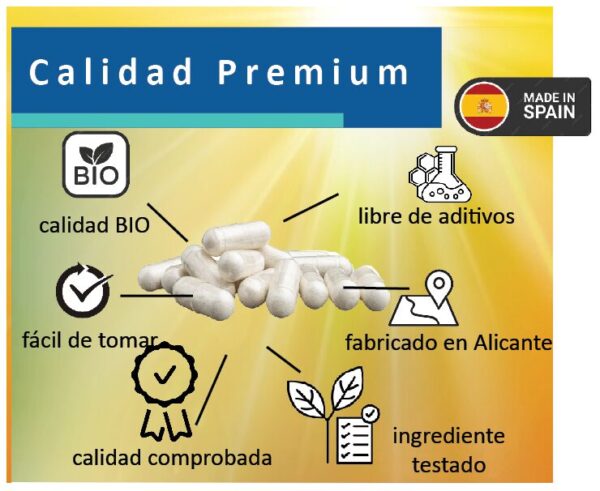 Vitamina D3 - VEGAN - Imagen 3